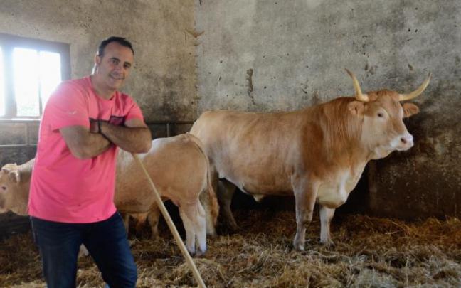 Martintxo Mendiburu posa con su buey 'Gofer' Martintxo Mendiburu posa con su buey 'Gofer'