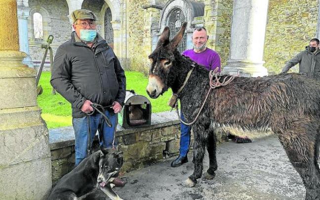 La celebración de San Antón ha reunido a fieles y mascotas.