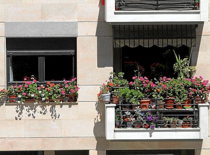 Flores y plantas en el balcón y en una ventana de una vivienda de la calle Trenbide de Elgoibar.