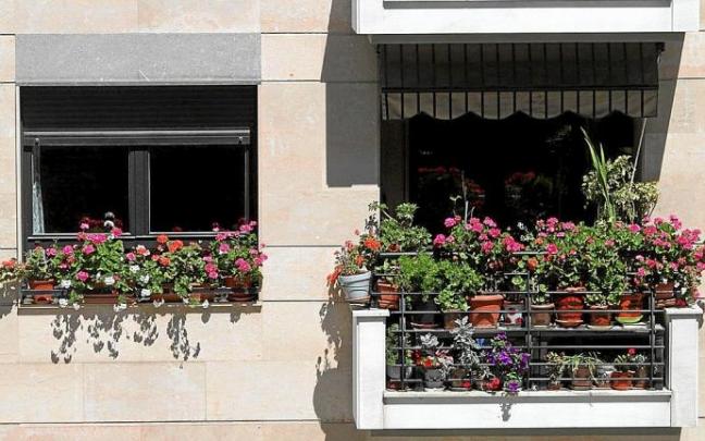 Flores y plantas en el balcón y en una ventana de una vivienda de la calle Trenbide de Elgoibar. Flores y plantas en el balcón y en una ventana de una vivienda de la calle Trenbide de Elgoibar.