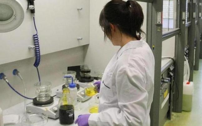 La tasa de ocupaci&oacute;n de las mujeres vascas es 8,5 puntos inferior a la masculina.