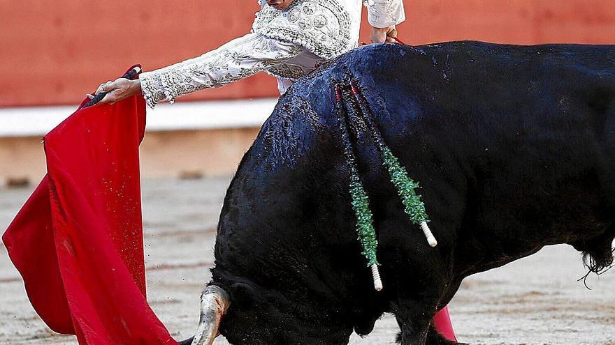 El toledano Álvaro Lorenzo, debutante en Pamplona, inicia genuflexo y por abajo su fanea de muleta el bravo sexto, ‘Guardés.