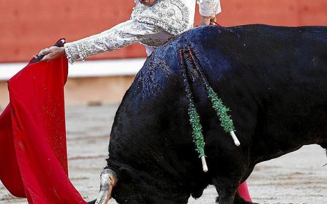 El toledano Álvaro Lorenzo, debutante en Pamplona, inicia genuflexo y por abajo su fanea de muleta el bravo sexto, ‘Guardés.