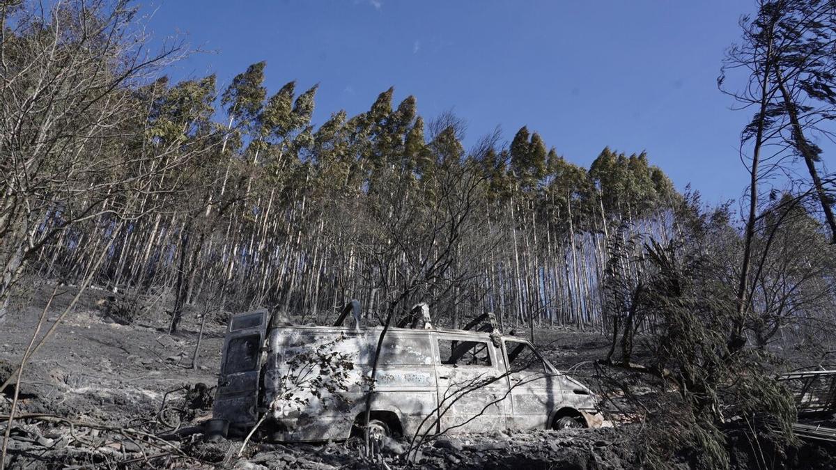 Masa forestal afectada por el incendio en Balmaseda