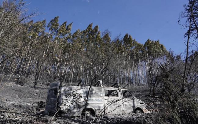 Masa forestal afectada por el incendio en Balmaseda Masa forestal afectada por el incendio en Balmaseda