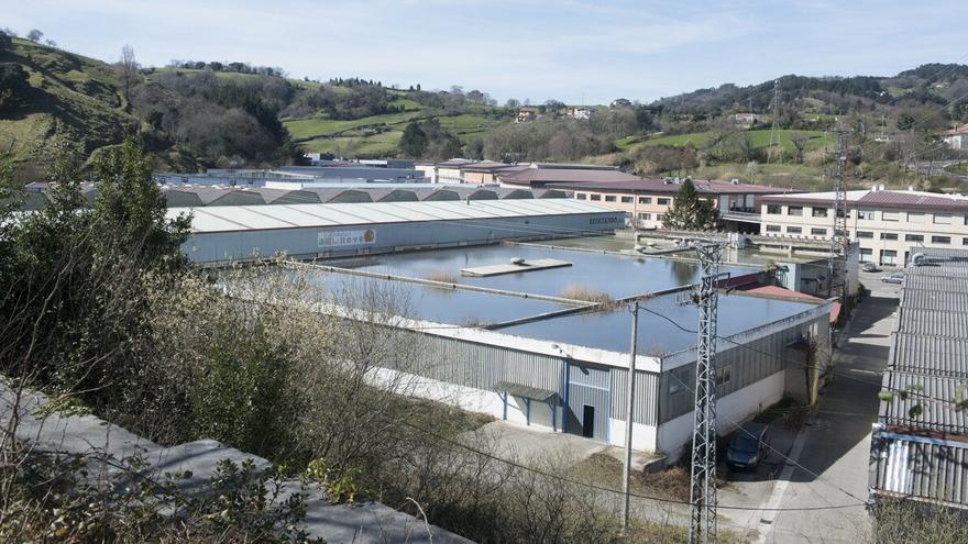 Parque industrial de Abendaño en Zarautz