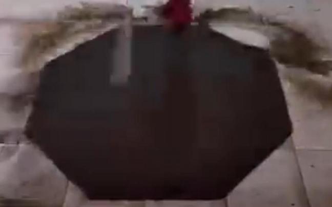La alfombra, justo en el momento en que comienza el proceso de limpieza. La alfombra, justo en el momento en que comienza el proceso de limpieza.