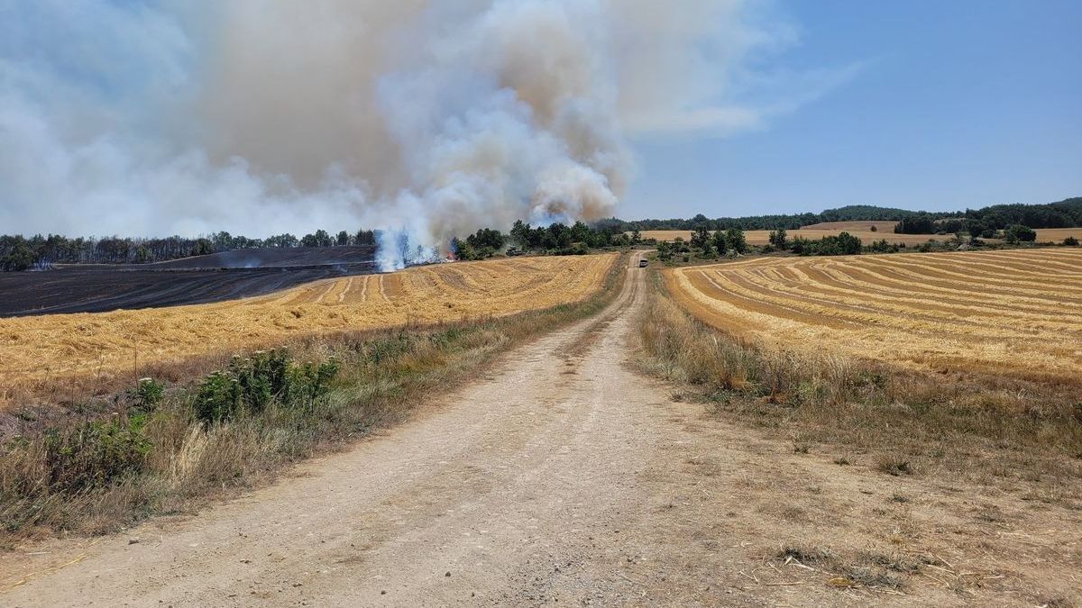 Incendio en Trebiño