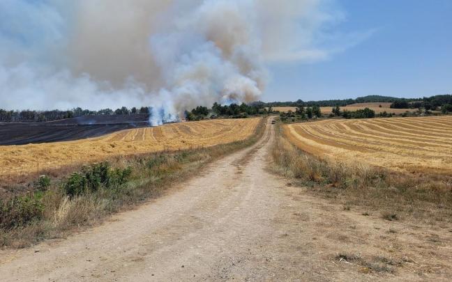 Incendio en Trebi&ntilde;o