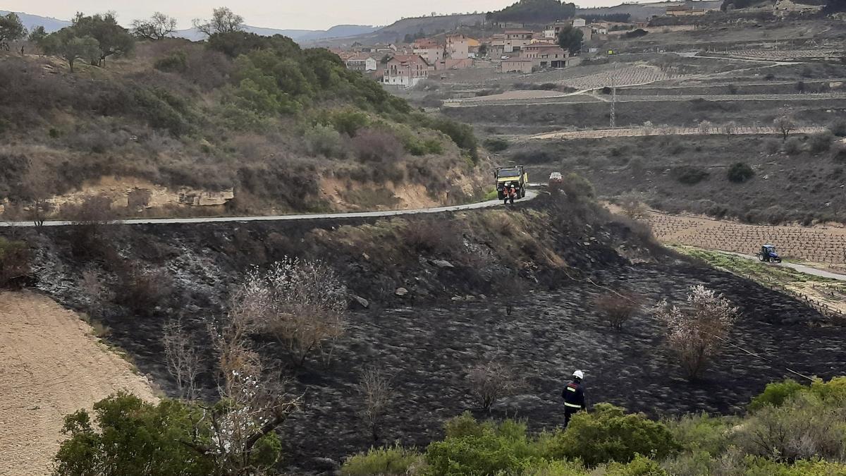 Zona afectada por las llamas