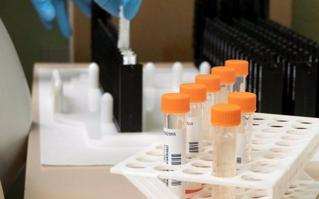 Europa ya ha notificado 8.238 casos de viruela del mono