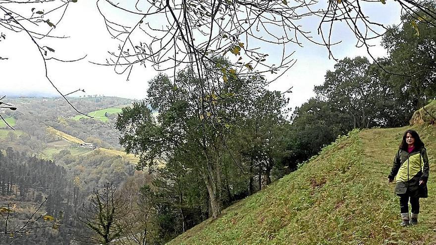 Gloria Vázquez, concejala de Medioambiente, en la parcela de Gesoerreka en Zarautz. | FOTO: UDALA