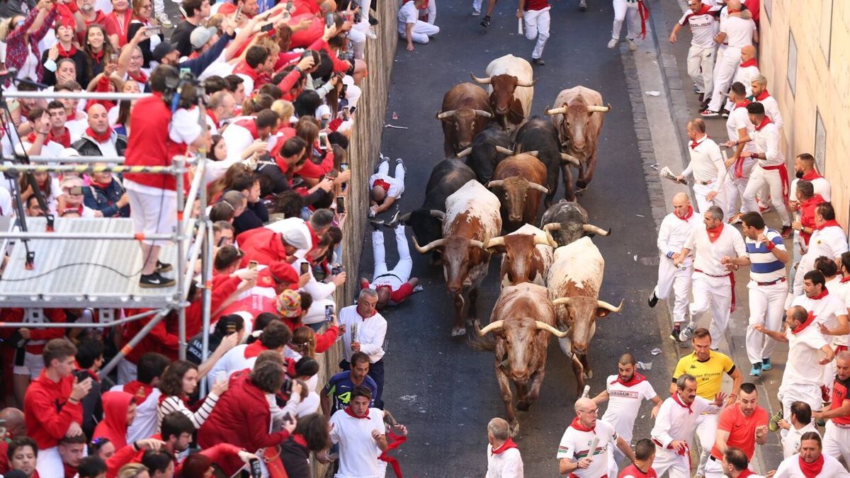 Los toros de La Palmosilla avanzan por la cuesta de Santo Domingo.