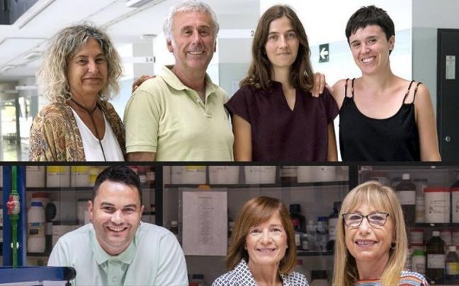 Parte superior, izq-dcha (Biomat): Koro de la Caba, Pedro Guerrero, Alaitz Etxabide y Jone Uranga. Parte inferior, izq-dcha (NanoBioCel): Edorta Santos, Manoli Igartua y Rosa María Hernández | Foto: Nagore Iraola y Nuria Gonzalez. Parte superior, izq-dcha (Biomat): Koro de la Caba, Pedro Guerrero, Alaitz Etxabide y Jone Uranga. Parte inferior, izq-dcha (NanoBioCel): Edorta Santos, Manoli Igartua y Rosa María Hernández | Foto: Nagore Iraola y Nuria Gonzalez.