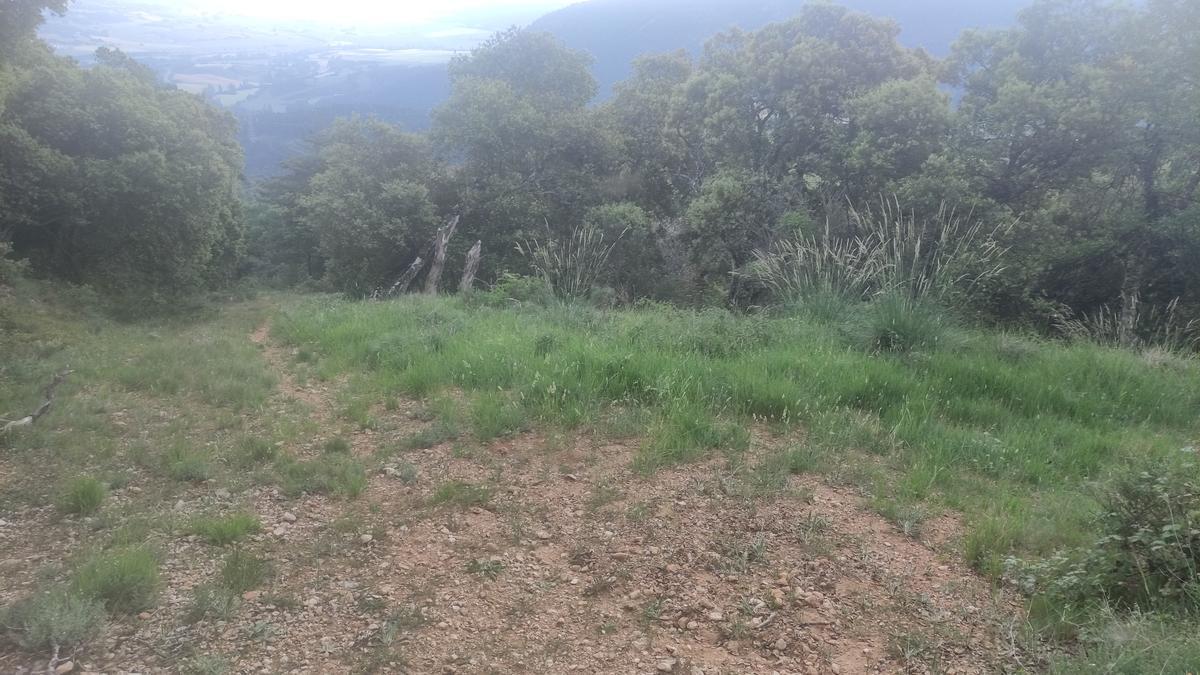 Cruce en bajada