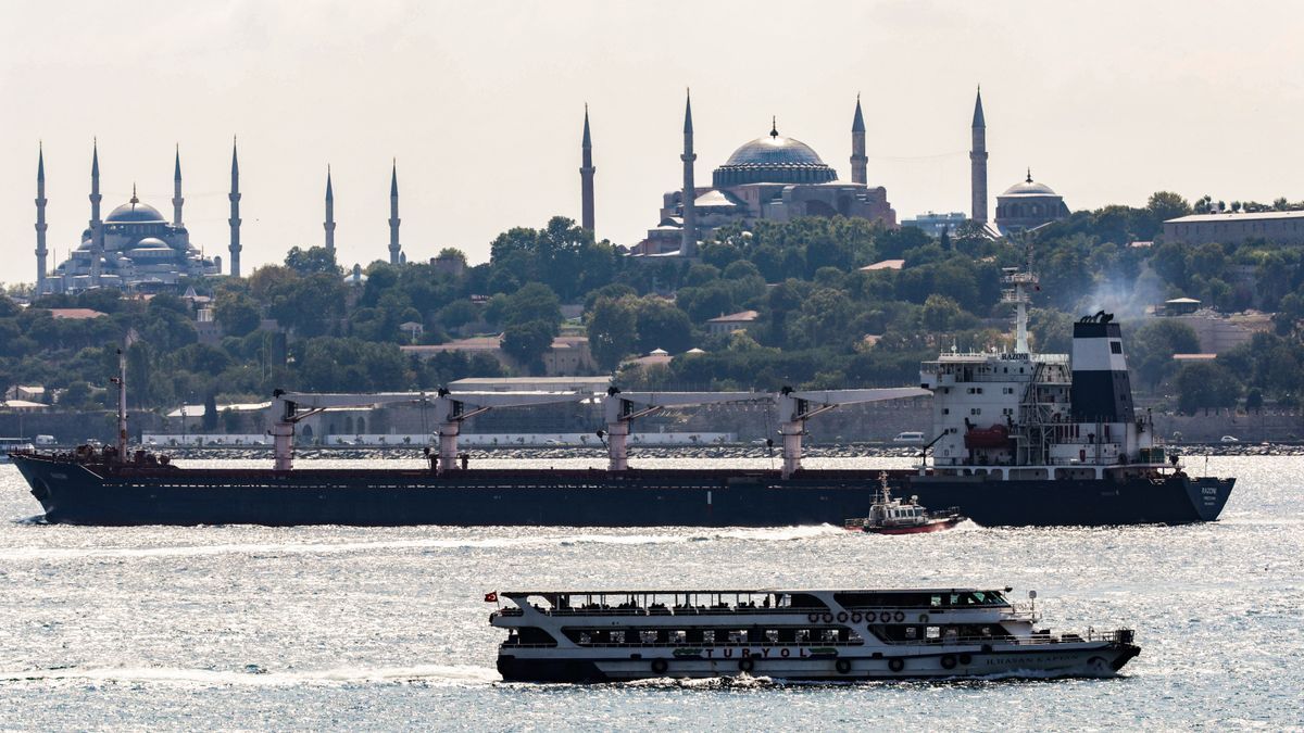 El buque 'Razoni' ha atracado finalmente en el puerto de Mersin en Turquía.