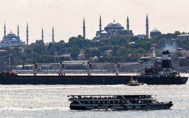 El buque 'Razoni' ha atracado finalmente en el puerto de Mersin en Turquía.