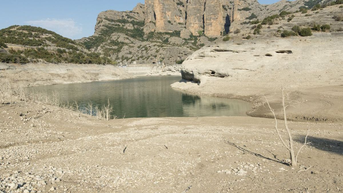 Un pantano muestra los efectos de la sequía