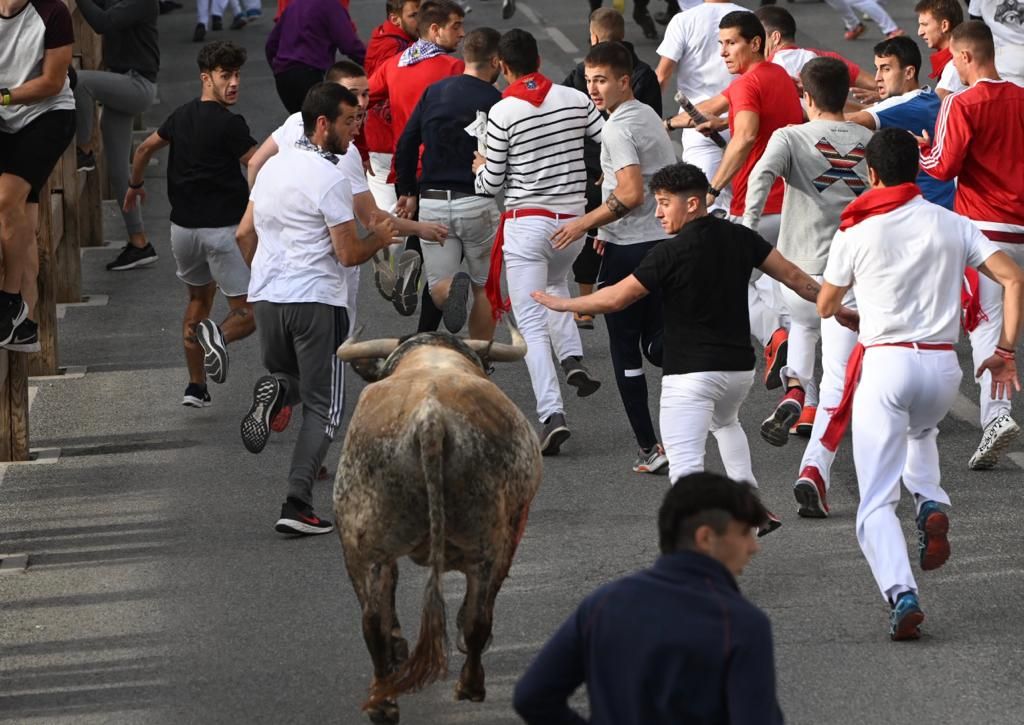 Imagen del encierro de Tafalla
