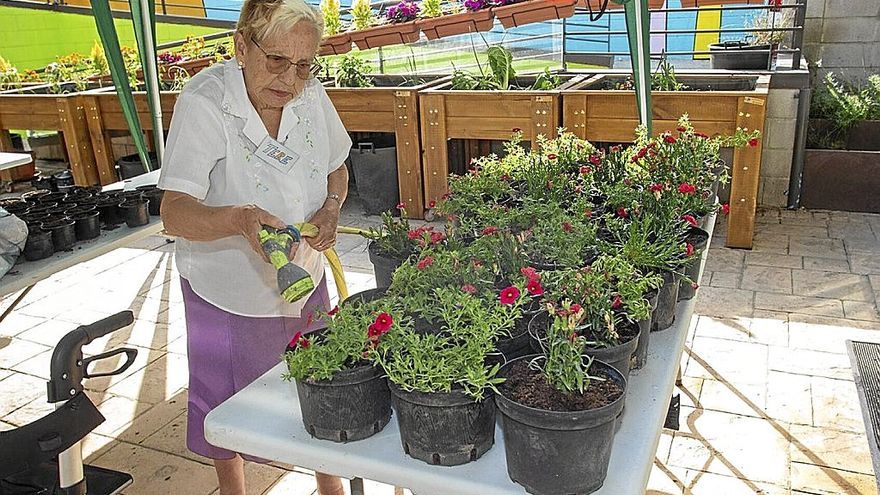 Tere Arellano riega las plantas que han sembrado entre todas.