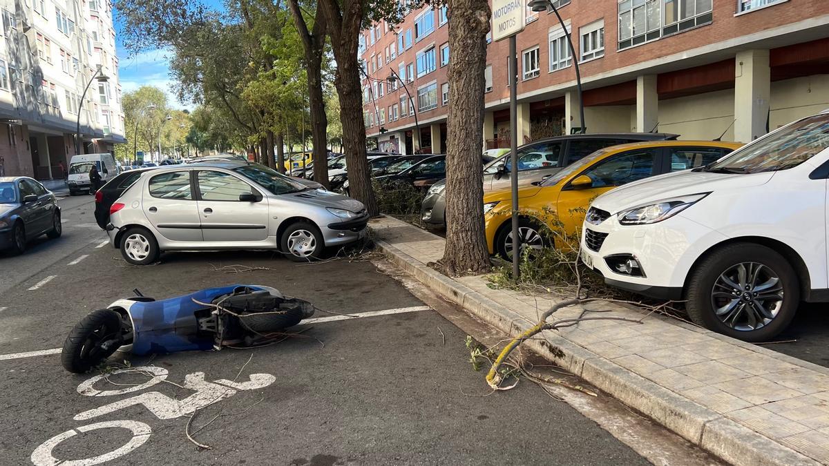 Consecuencias del vendaval