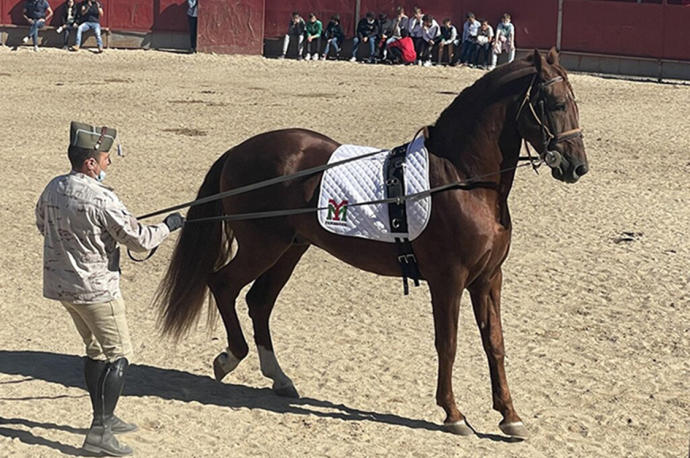 Exhibición del Centro Militar de Cría Caballar de Zaragoza en las ferias de octubre de Marcilla