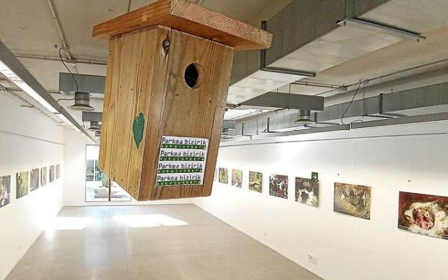Imagen de la muestra que puede visitarse en la sala Txillardegi del campus de Gipuzkoa. Foto: N.G.