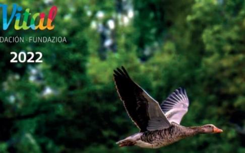 Una de las imágenes del calendario de 2022. Una de las imágenes del calendario de 2022.