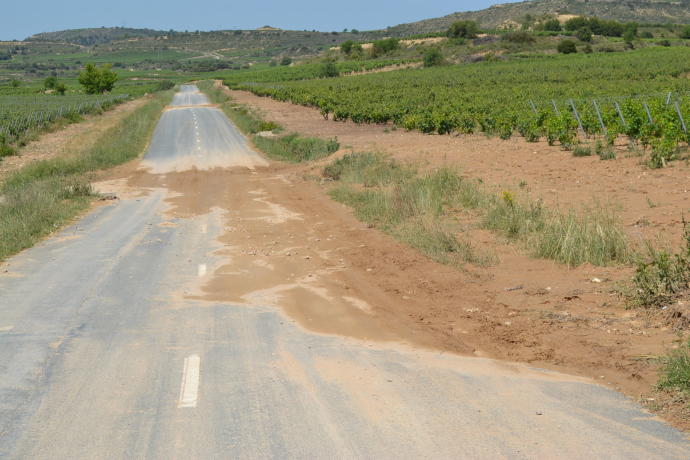 Camino entre las localidades de Lapuebla de Labarca y Assa.