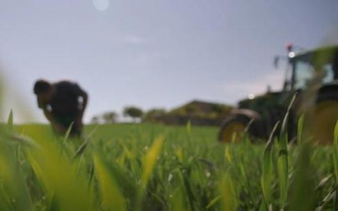 Rusia es el mayor exportador mundial de trigo y Ucrania es el quinto.