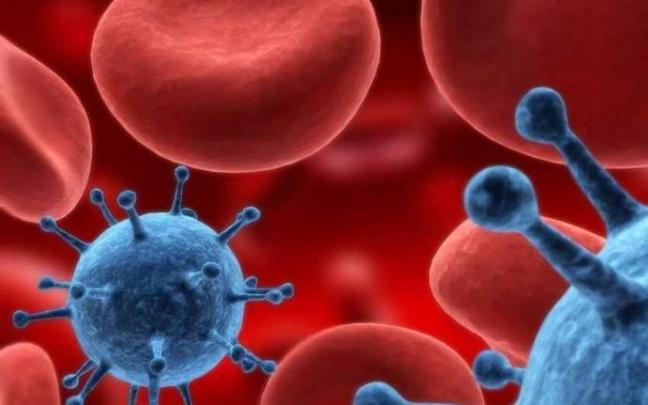 Logran crear un anticuerpo que ataca a las células madre del cáncer