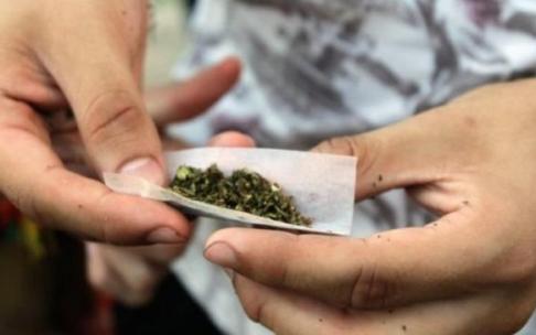 El consumo de cannabis sigue creciendo entre los jóvenes.