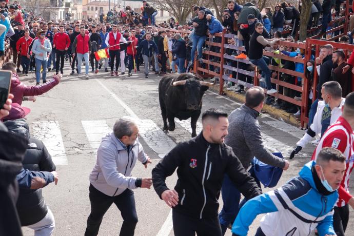 Encierro del Carnaval de Ciudad Rodrigo