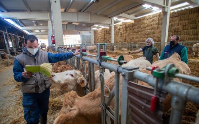 Gonzalo Palacios y César Palacios en su explotación de vacuno en Izal (Valle de Salazar) junto al veterinario. Gonzalo Palacios y César Palacios en su explotación de vacuno en Izal (Valle de Salazar) junto al veterinario.