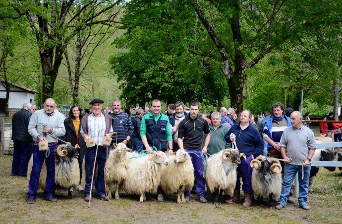 Los galardonados en el Concurso de Carneros junto a varios ejemplares premiados.