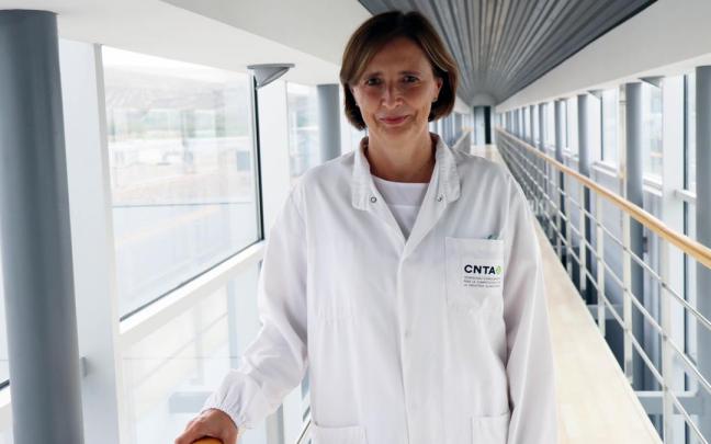 In&eacute;s Echeverr&iacute;a, directora del &Aacute;rea de I+D+i de CNTA.