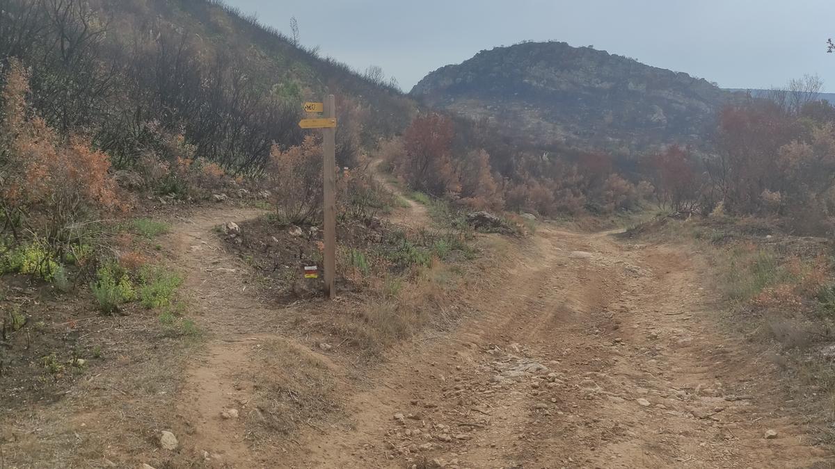 De nuevo al sendero a la izquierda