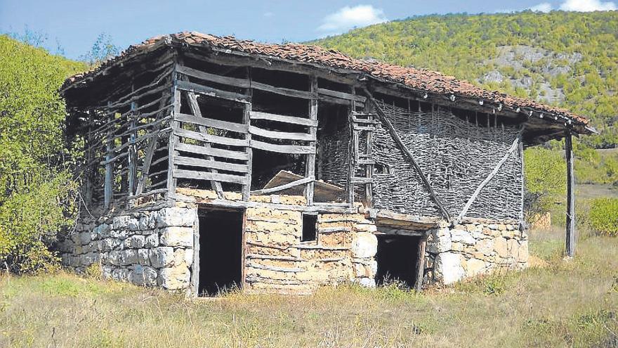 Aletegi bat.