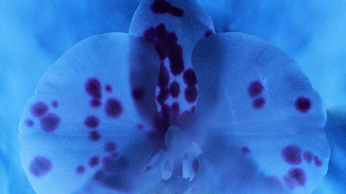 Las fotos hablan de la metamorfosis constante del planeta.