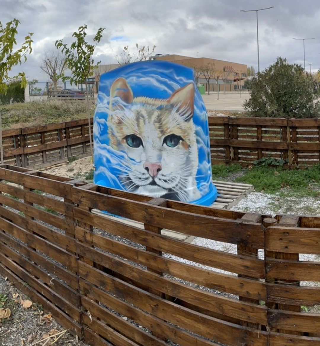 "Cathotel" donde vivía la gata Lana tras su abandono.