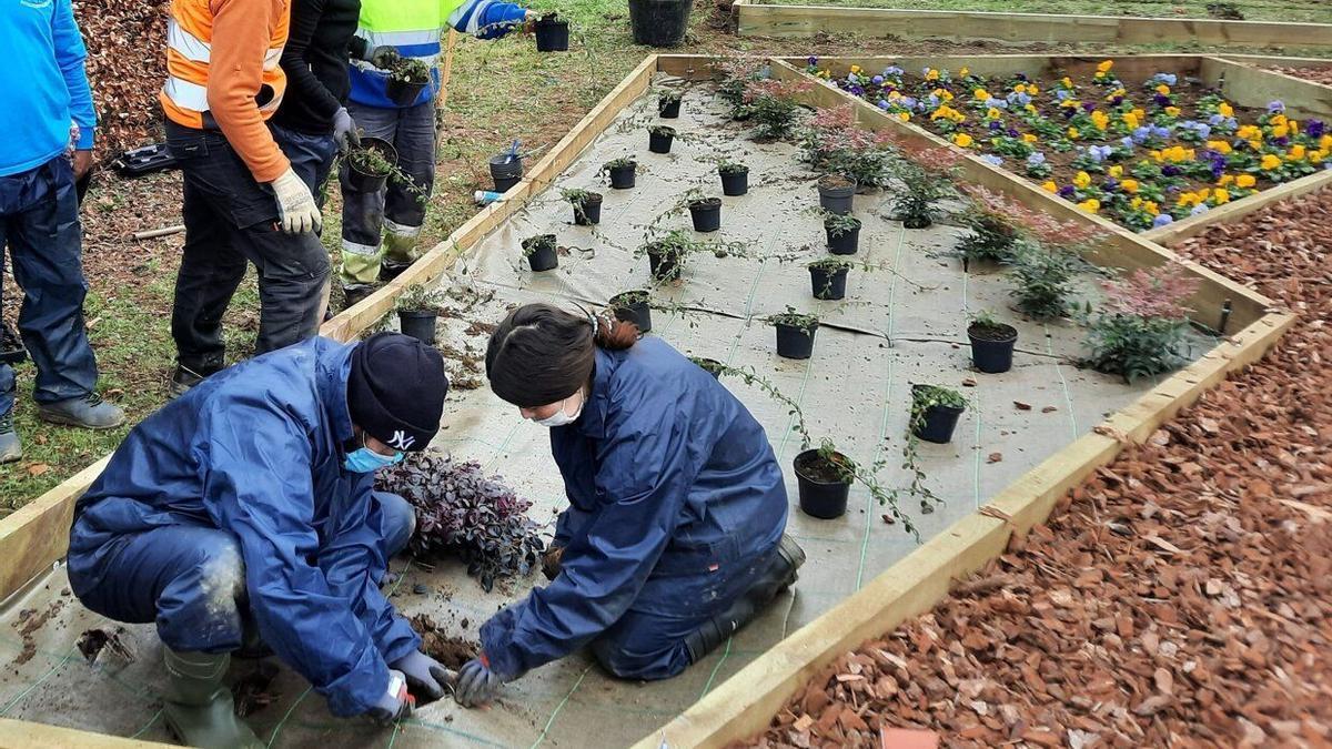 Varias personas realizando labores de jardinería.