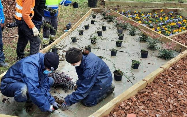 Varias personas realizando labores de jardinería. Varias personas realizando labores de jardinería.