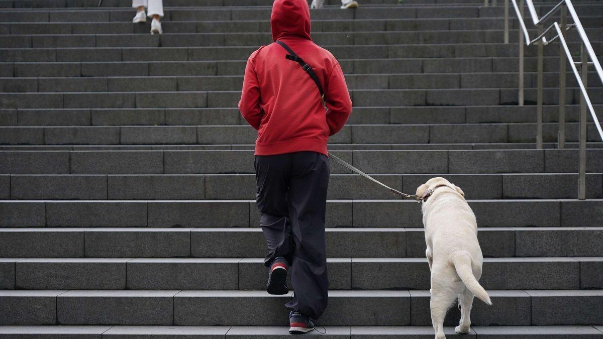 El Ayuntamiento de Bilbao puso a disposici&oacute;n de los ciudadanos un total de 10,5 millones de bolsas en 2017