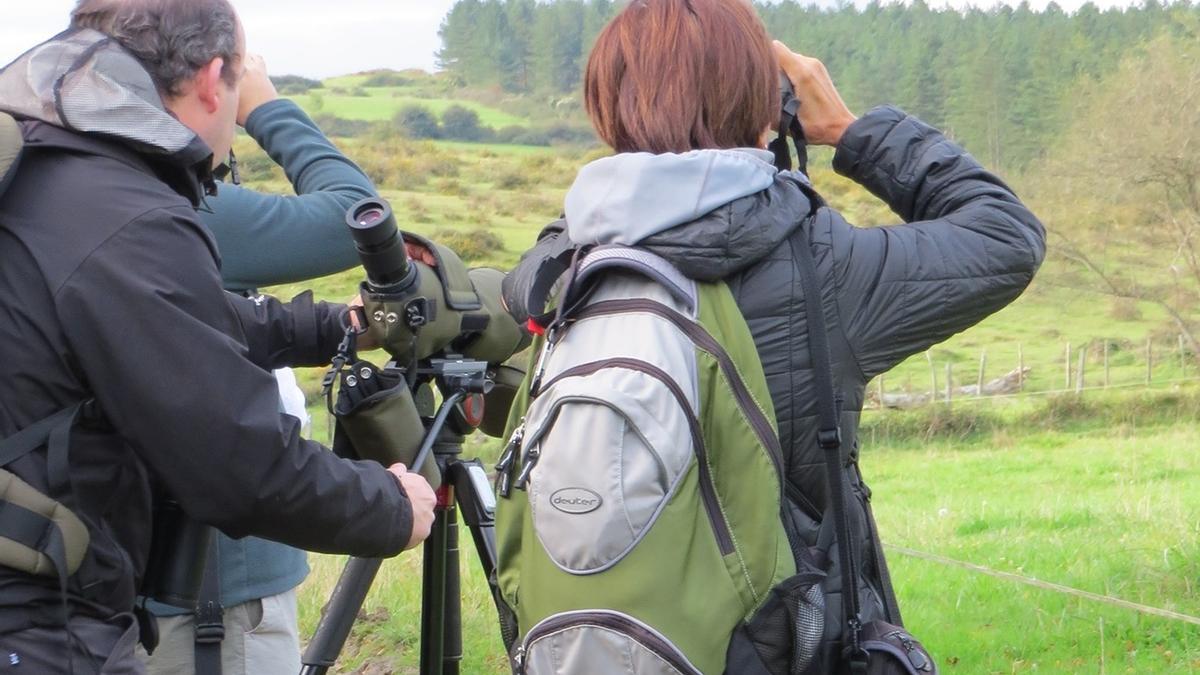 Jornada de avistamiento de aves en Orduña.