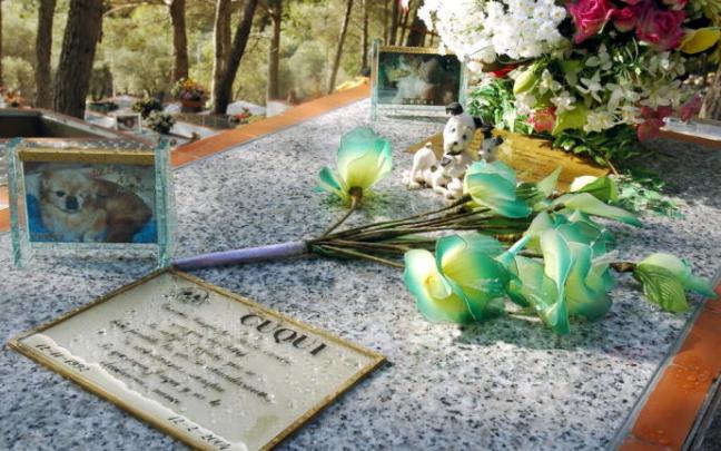 Cementerio para mascotas en la localidad madrileña de Arganda del Rey, uno de los pocos de estas características en España.