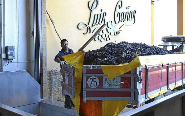 Descarga de uvas en la bodega Luis Cañas.