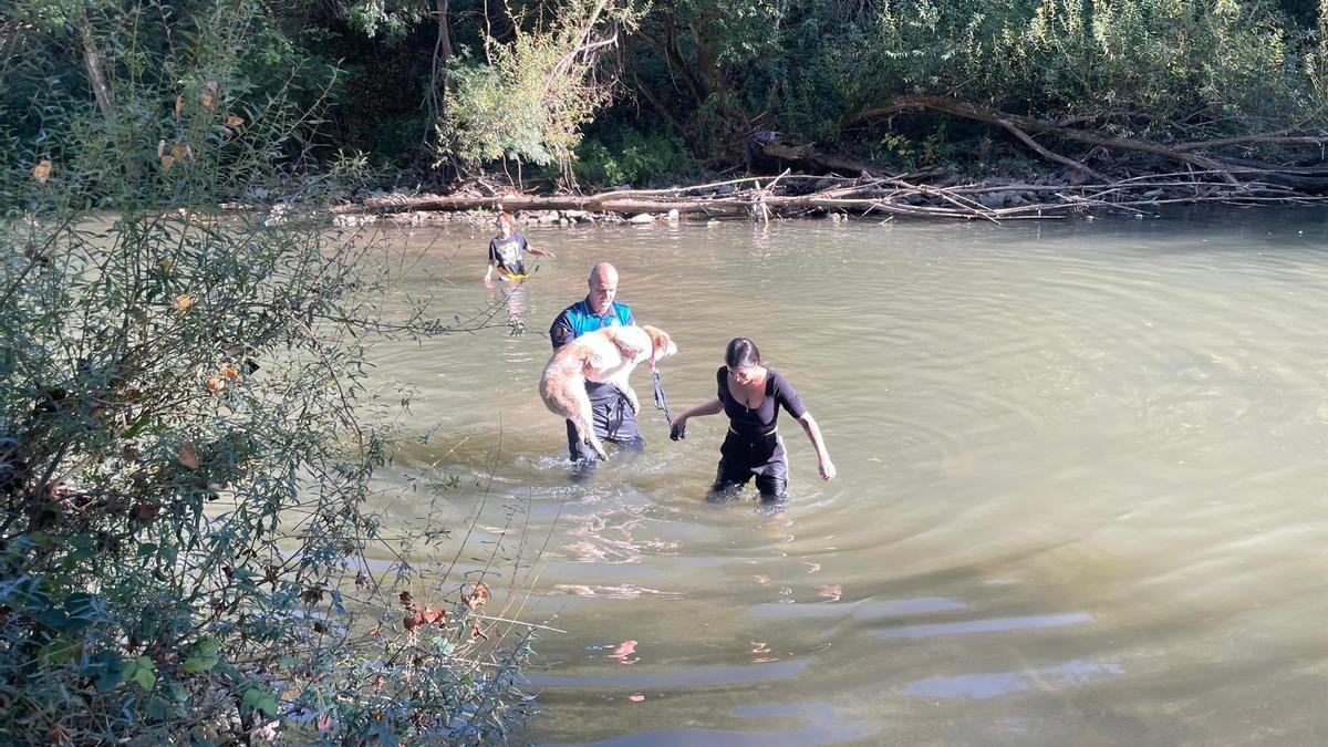 Momento en el que el agente saca al perro del río.