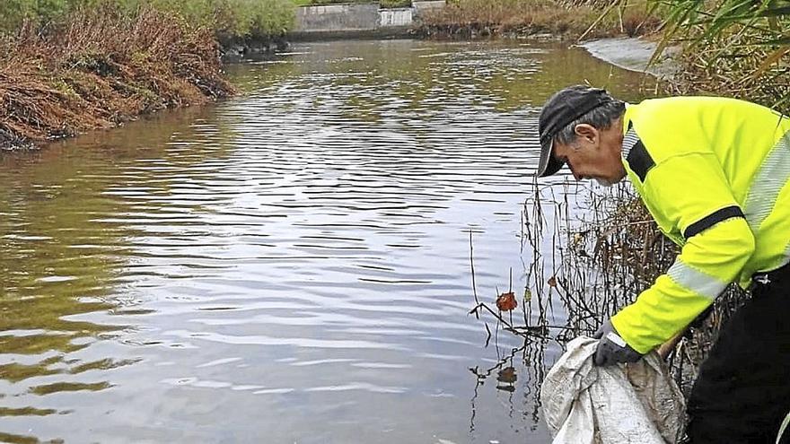 Trabajador recogiendo basura del río de Zarautz. | FOTO: ZARAUZKO UDALA