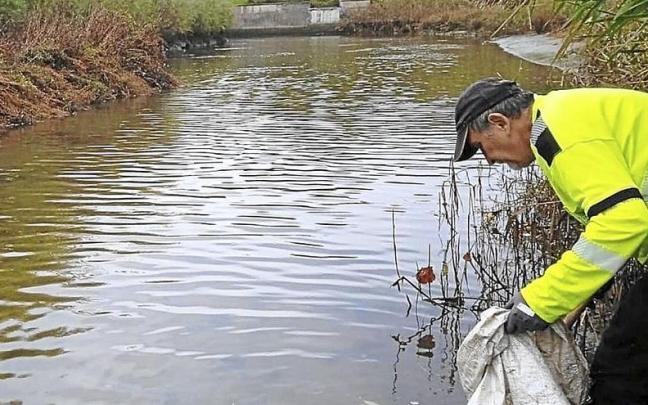 Trabajador recogiendo basura del r&iacute;o de Zarautz. | FOTO: ZARAUZKO UDALA