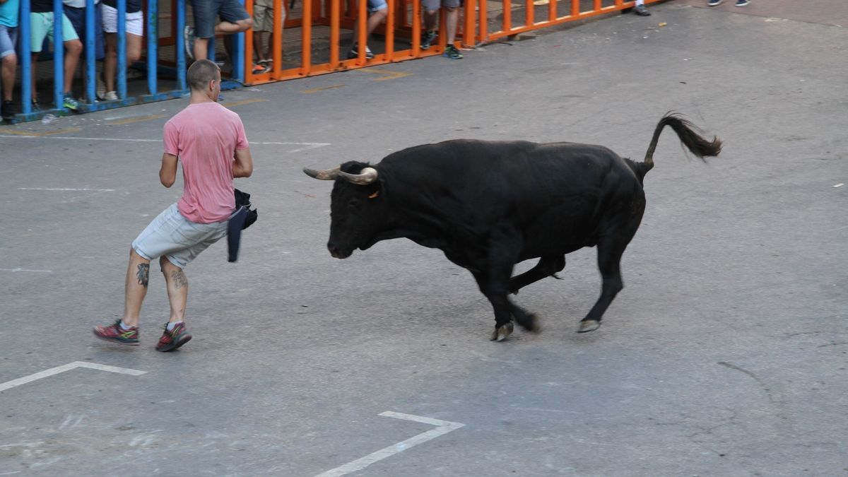 Imagen de archivo de un "bous al carrer".